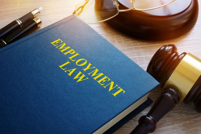 Labor And Employment Attorney